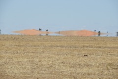 DSCN1954